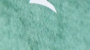 La actriz Eiza González vuelve a encender los rumores de ruptura con Jason Momoa.