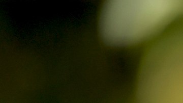 Selena Gómez mostró emocionada esta mansión en Malibú.