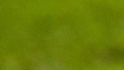 Los problemas con la edad y el físico de las selecciones africanas son frecuentes en las categorías de desarrollo del fútbol.