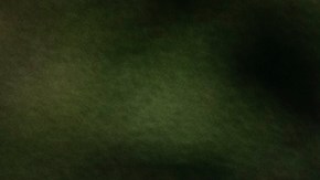 Policía Provincial de Ontario (OPP)