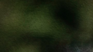 Policía Provincial de Ontario (OPP)