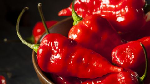 Ghost peppers o Bhut Jolokia