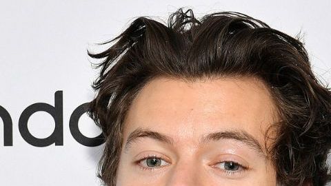 Harry Styles y Olivia Wilde.