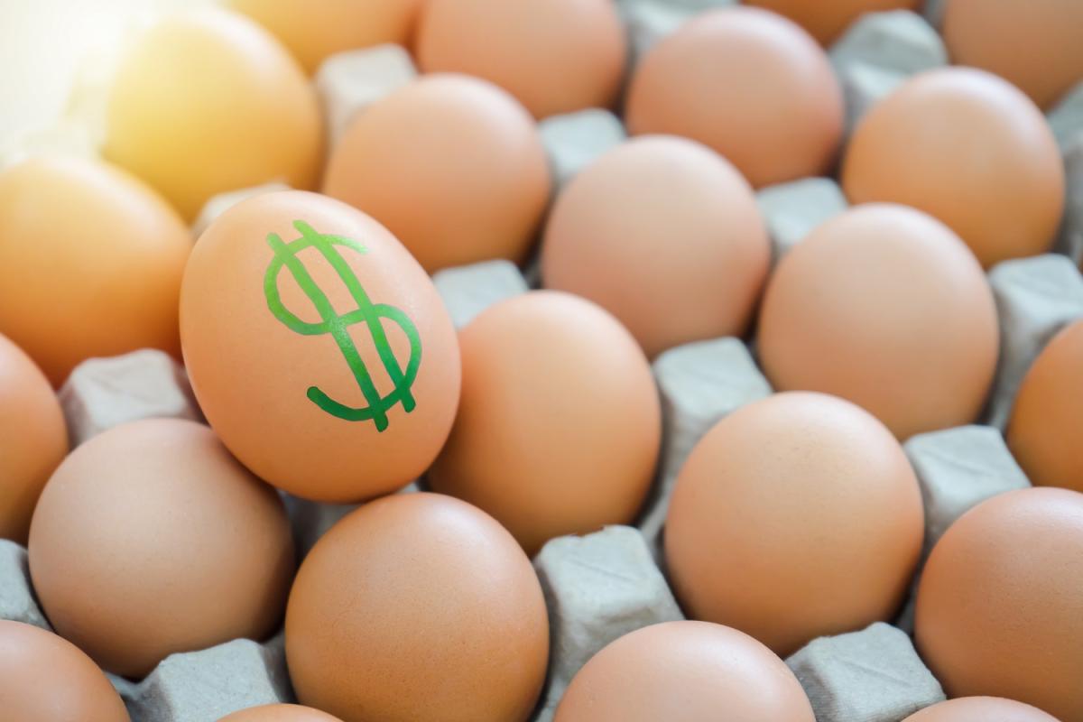 Contable calificación Cuerda Por qué el precio de los huevos podría bajar en EE.UU. - El Diario NY