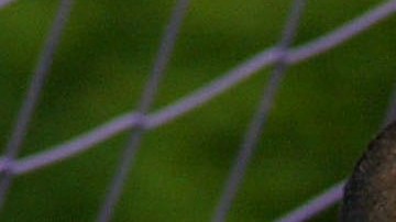 Confirman sentencia contra el exarquero paraguayo José Luis Chilavert