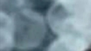 La desaparición de Harmony Montgomery fue reportada en noviembre de 2021 por su madre.