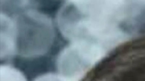 La desaparición de Harmony Montgomery fue reportada en noviembre de 2021 por su madre.