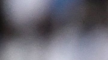 Directiva del PSG dio un 'tirón de orejas' a Neymar y Mbappé tras polémica del fin de semana