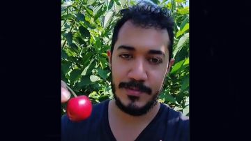 Mexicano presume sueldo de $150 dólares diarios recolectando cerezas en Canadá y se hace viral en TikTok