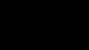 Setas, sapos y cannabis: el secreto de Mike Tyson para mantenerse joven