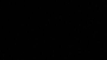 Setas, sapos y cannabis: el secreto de Mike Tyson para mantenerse joven