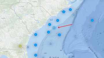 Así luce el mapa de rastreo de tiburones; la imagen señala la ubicación exacta de "Breton".