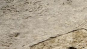 Las huellas descubiertas en un sitio arqueológico marcadas con una bandera en un campo de pruebas de Utah.