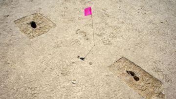 Las huellas descubiertas en un sitio arqueológico marcadas con una bandera en un campo de pruebas de Utah.