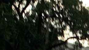 Cuatro personas recibieron atención médica y fueron trasladadas al hospital en estado crítico.