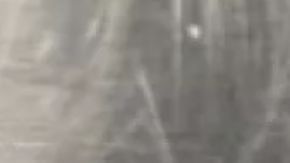 Este es el cordón umbilical humano que se encontró en el equipaje de un pasajero de Spirt Airlines.