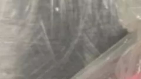 Este es el cordón umbilical humano que se encontró en el equipaje de un pasajero de Spirt Airlines.