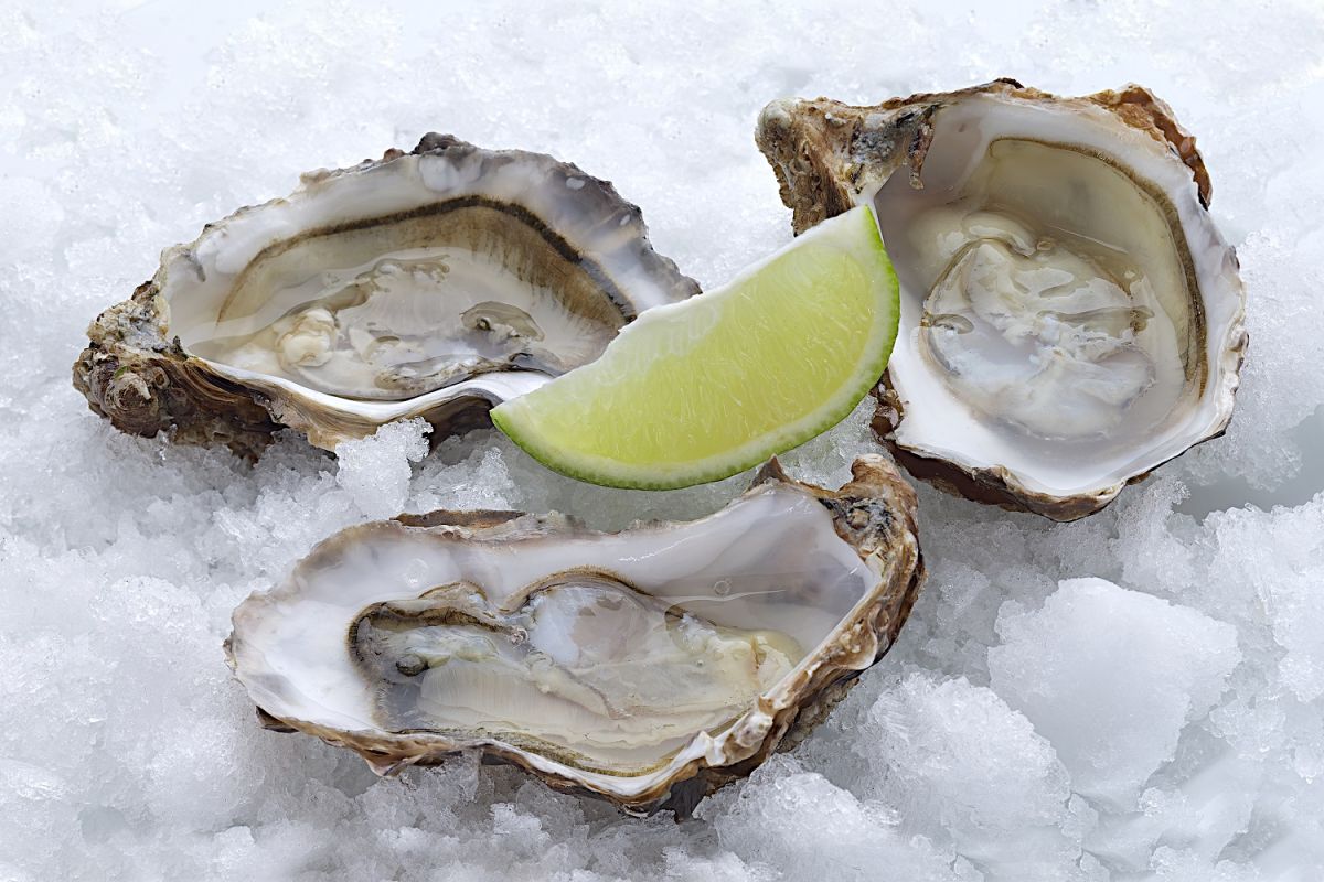 Comer ostras crudas puede hacerte enfermar gravemente e incluso causar la muerte.