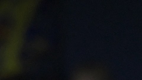 Pervis Estupiñán llega a la Premier League con el Brighton