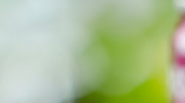 Rita margarita enlatada Anheuser-Busch