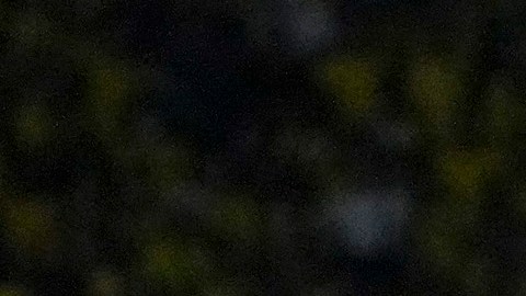 Mundial: Ecuador estará "en los ojos del mundo" en el juego inaugural ante Qatar