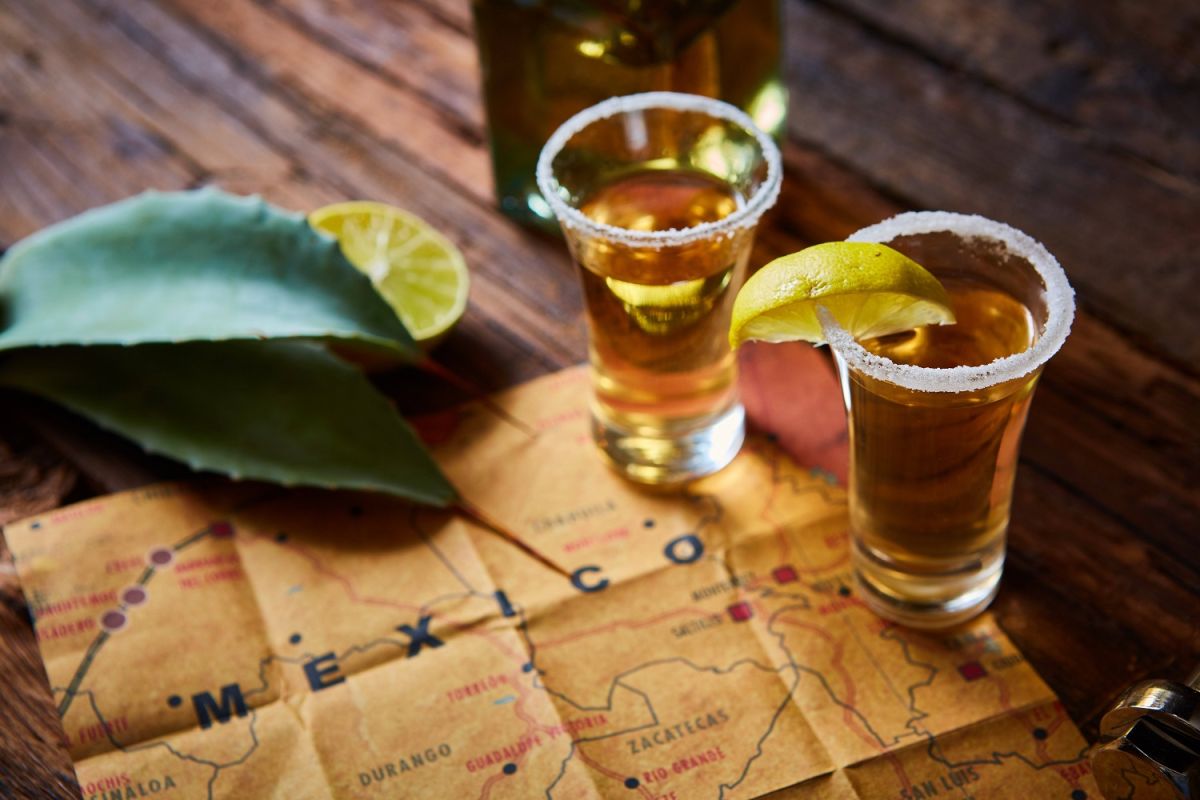El tequila se elabora exclusivamente a partir del “agave tequilana weber variedad azul” y debe producirse bajo normas específicas.