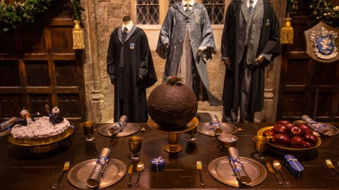 Fiesta XV Años Harry Potter
