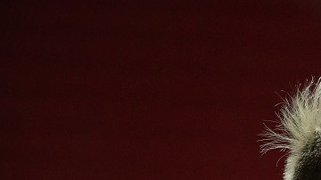 Santos v San Lorenzo - Copa CONMEBOL Libertadores 2021