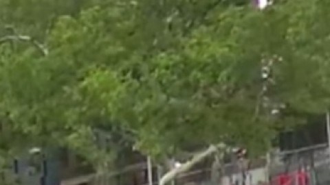 Una cámara de seguridad captó el mortal ataque a un taxista en Queens.