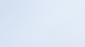 bayas-arándanos y fresas