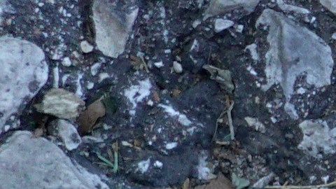 Memorial Placed At Scene In Chicago Where 7-Year-Old Girl Was Killed In Shooting