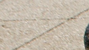 Calor Estados Unidos