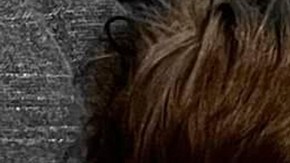 ian, cáncer terminal