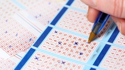 loteria-de-ontario-perro-ganadora