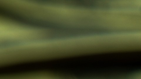 loteria-mega-millions