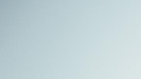 perros lloran de alegría