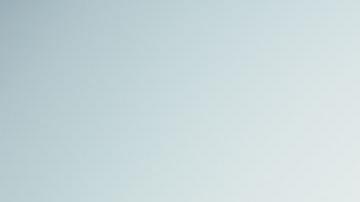 perros lloran de alegría