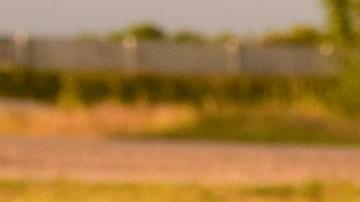 Una de las actividades más importantes en este tipo de sitios es la recolección de calabazas.