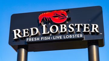 red-lobster-concurso