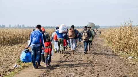 Border,Between,Serbia,And,Croatia,,3,Nov,2015:,Group,Of