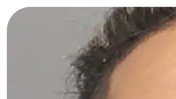 Pandilleros MS-13 LI