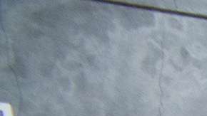 spanish-harlem-orchestra-12x8-300dpi-rgb