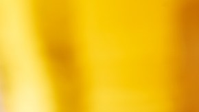 Un famoso youtuber estadounidense viajó a México a encontrar el mejor taco.