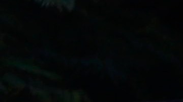 Huracan Fiona Ponce Puerto Rico