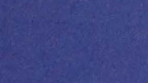 La conductora Adamari López manifestó su emoción por la participación de Carlitos en el programa.