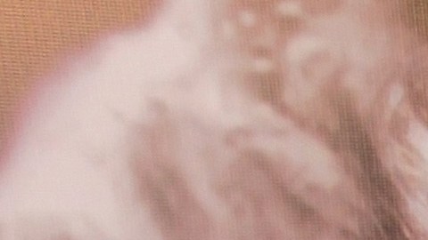 La actriz Leticia Calderón explicó cómo se encuentra su salud.