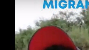 Los jóvenes se conocieron durante el trayecto hacia EE.UU.