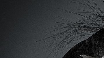 La reina Isabel II, quien tuvo el reinado más largo que cualquier otro monarca británico, murió a los 96 años.