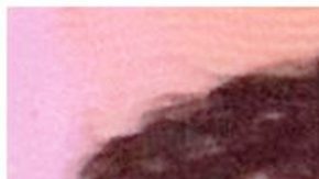 Dzenan Camovic y el arma que uso.