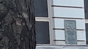 Trabajador en Manhattan, NYC